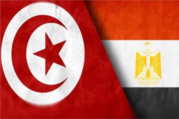 التعاون الاقتصادي بين مصر وتونس