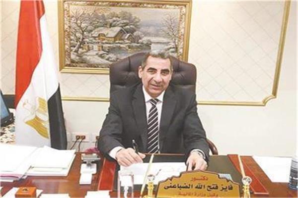 رئيس مصلحة الضرائب المصرية الدكتور فايز الضباعني
