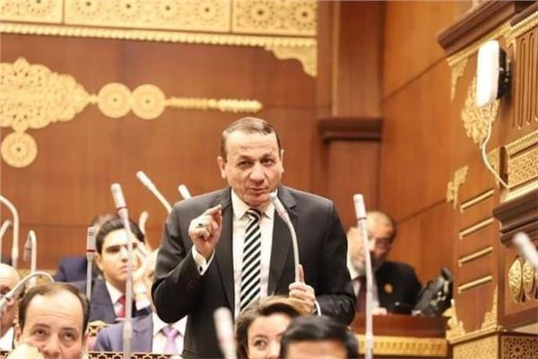 النائب أيمن عبد المحسن، رئيس الهيئة البرلمانية لحزب حماة الوطن