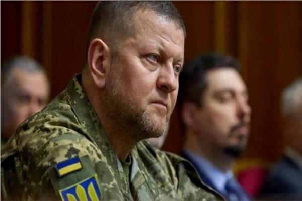 القائد العام للقوات المسلحة الأوكرانية فاليري زالوجني