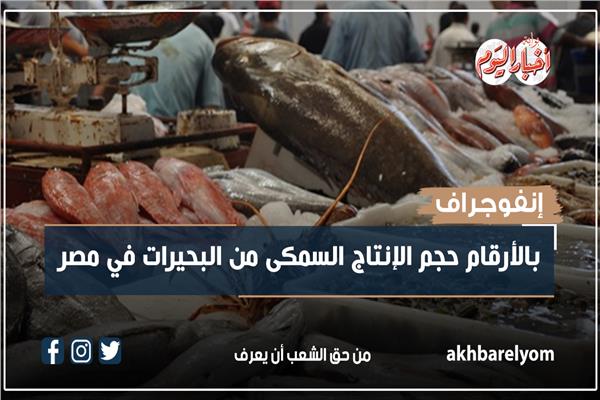 إنفوجراف| بالأرقام حجم الإنتاج السمكى من البحيرات في مصر