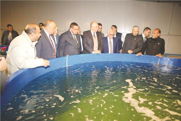 أول مركز رعاية لأسماك الزريعة فى بورسعيد