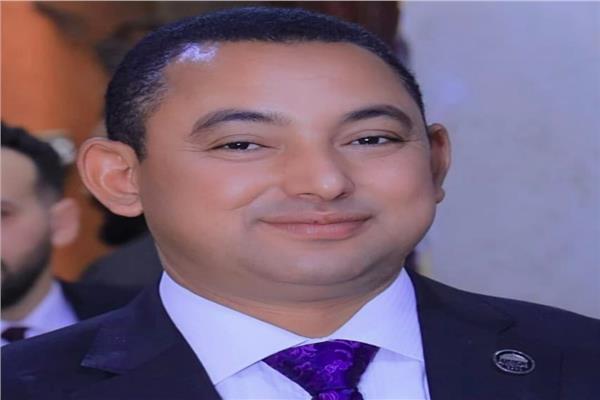 النائب الدكتور ناصر عثمان، أمين سر اللجنة الدستورية والتشريعية بمجلس النواب