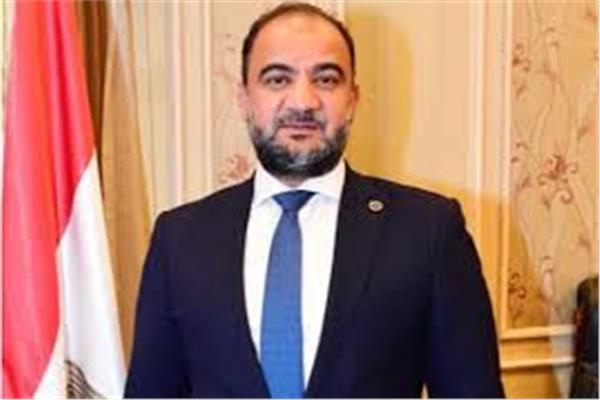 النائب حاتم عبدالعزيز عضو مجلس النواب