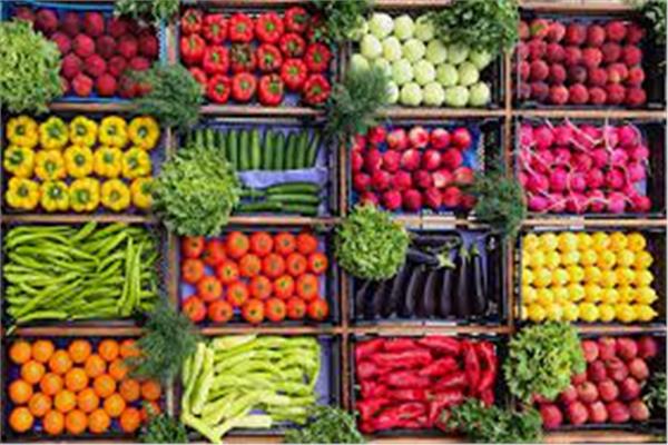 أسعار الخضراوات اليوم 19 يناير في سوق العبور