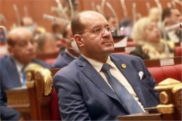 النائب أمين جابر الصيرفي عضو لجنة العلاقات الخارجية والعربية والإفريقية بمجلس الشيوخ