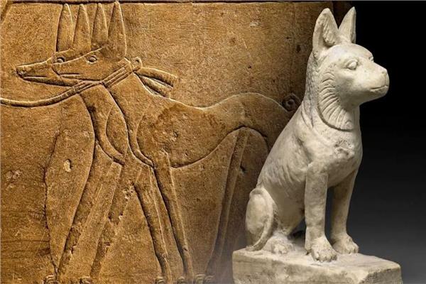  الكلاب في مصر القديمة