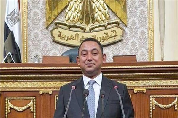 النائب ناصر عثمان أمين سر اللجنة الدستورية والتشريعية بمجلس النواب