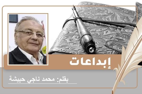 الشاعر محمد ناجي حبيشه