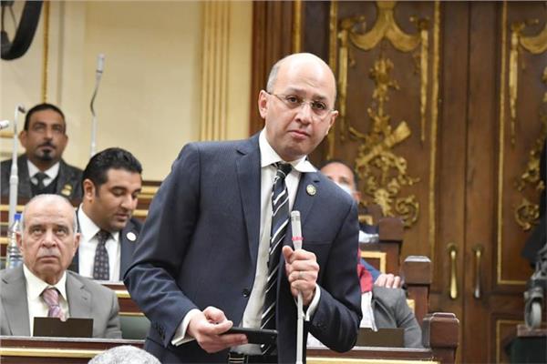 النائب عمرو هندى عضو مجلس النواب