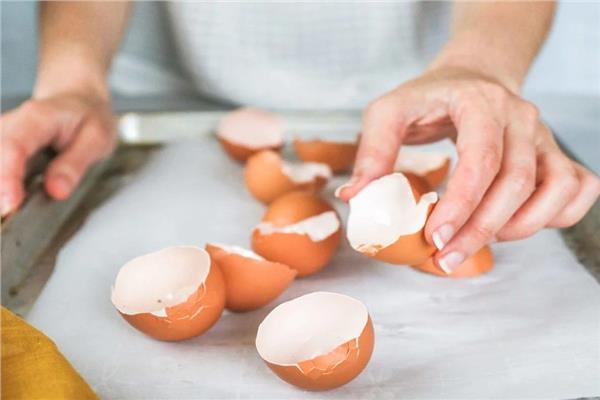  استخدامات مذهلة لبقايا قشر البيض