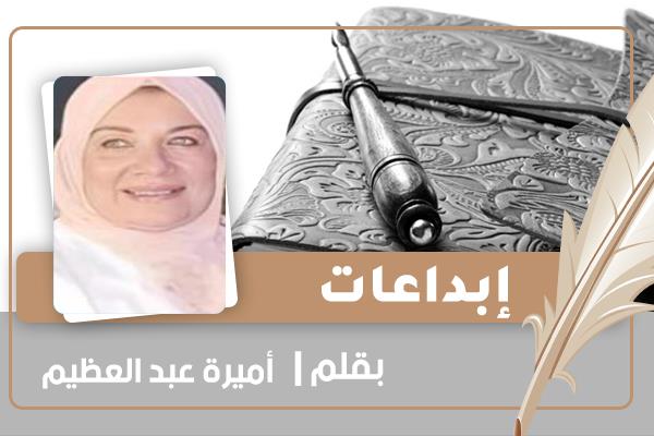 الكاتبة أميرة عبد العظيم