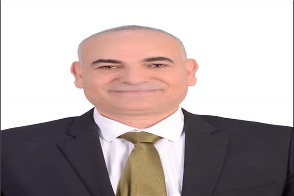 الدكتور ناصر عبد الباري