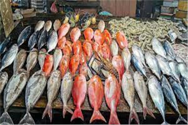 أسعار الأسماك اليوم 17 مارس بسوق العبور