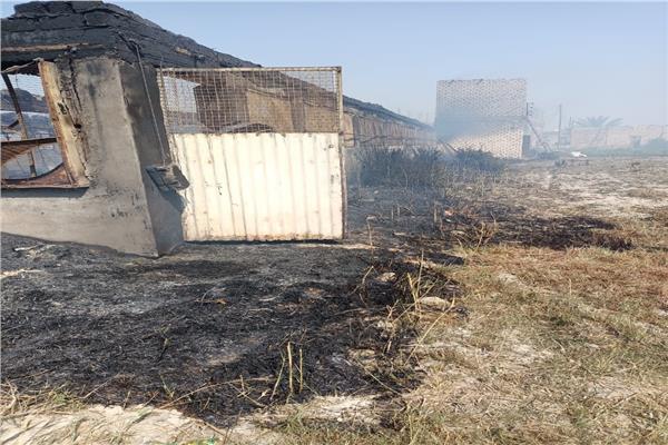 السيطرة على حريق في مزرعة دواجن بالإسماعيلية 
