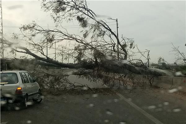 سقوط شجرة علي الطريق بسبب الرياح الشديدة والامطار