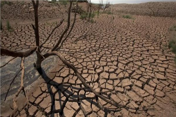 المغرب العربي يواجه خطر الجفاف والزراعة
