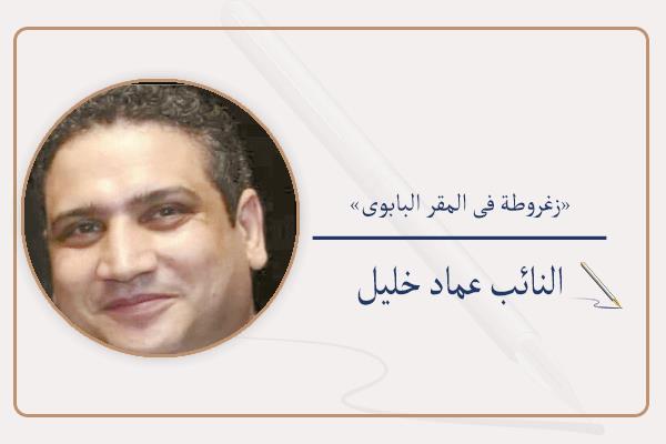 النائب عماد خليل عضو تنسيقية شباب الأحزاب والسياسيين