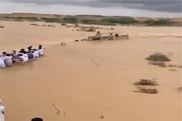 إنقاذ ناقة علقت في الرمال بسلطنة عمان
