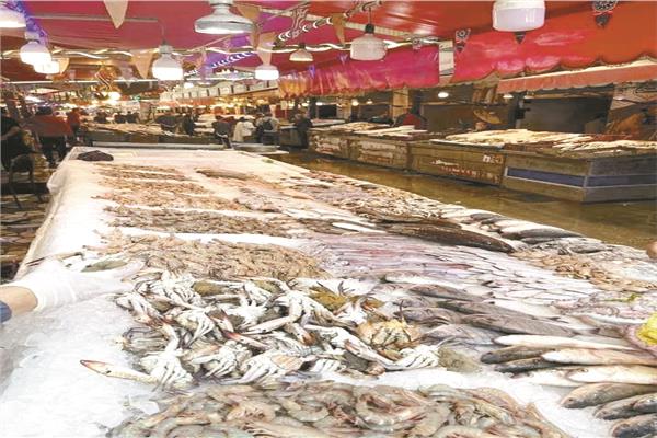 أسواق السمك تعانى من الركود بسبب المقاطعة