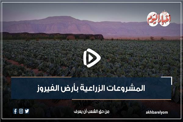 عيد تحرير سيناء.. المشروعات الزراعية على أرض الفيروز| إنفوجراف
