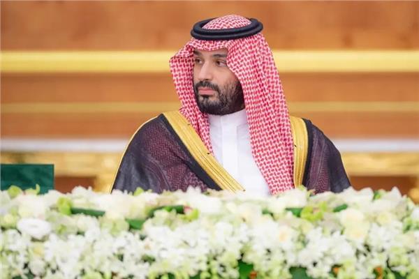 الأمير محمد بن سلمان ولي عهد السعودية 