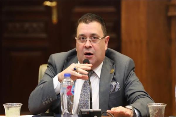 النائب هشام الحاج علي عضو مجلس الشيوخ