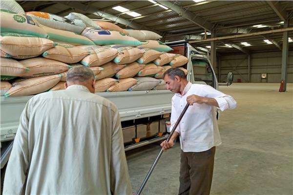 التموين: مواقع إستلام القمح تفتح أبوابها أمام المزارعين خلال إجازة شم النسيم