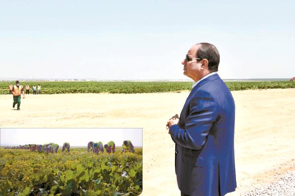  الرئيس عبدالفتاح السيسى أثناء إحدى زياراته المتكررة للمشروع