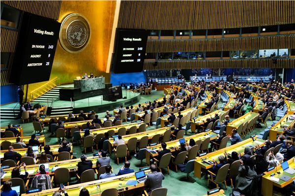 خاص| هل تحظى فلسطين بعضوية الأمم المتحدة بعد تصويت الجمعية العامة؟.. خبير يوضح