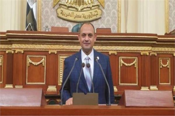 برلماني: مصر تقوم بدور محوري وريادي منذ اندلاع العدوان على غزة  ‎