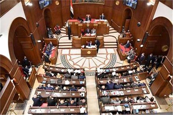 برلمانية: مصر الداعم الأول والرئيسى للشعب الفلسطينى‎