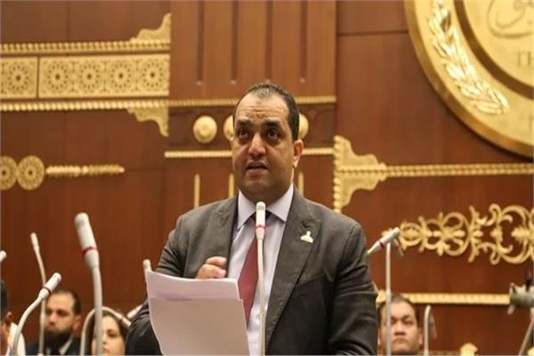 النائب محمد سعيد الدابي عضو مجلس الشيوخ