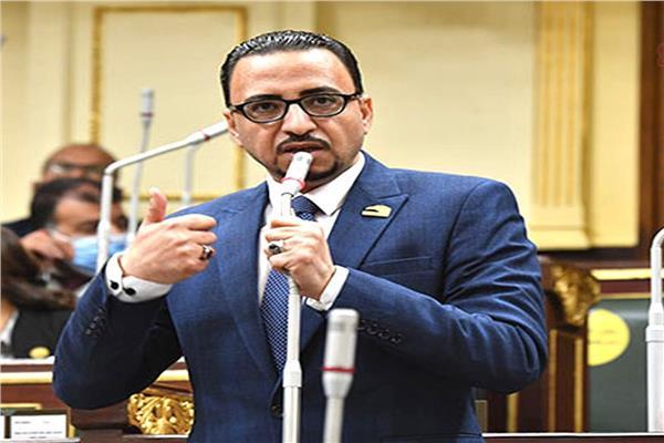 النائب محمد عزت القاضي عضو لجنة العلاقات الخارجية