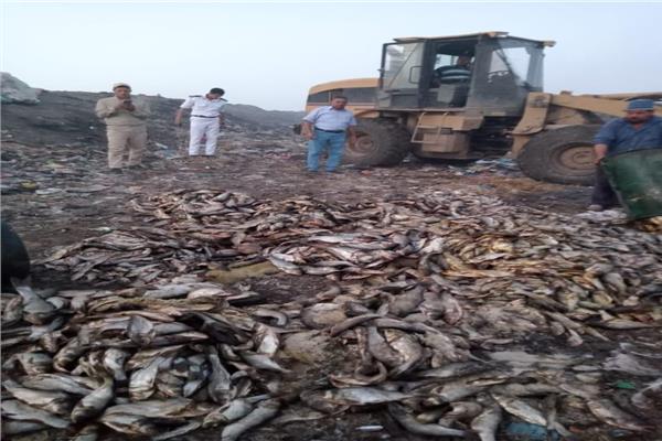 إعدام 6 أطنان أسماك غير صالحة للاستهلاك الآدمي بكفر الشيخ #بوابة_أخبار_اليوم 