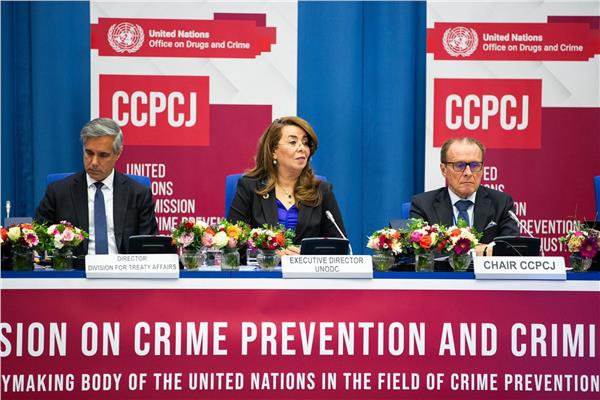  لجنة الأمم المتحدة المعنية بمكافحة الجريمة 