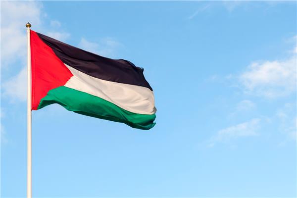 العلم الفلسطيني - أرشيفية 