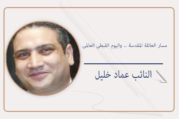 النائب عماد خليل عضو تنسيقية شباب الأحزاب والسياسيين