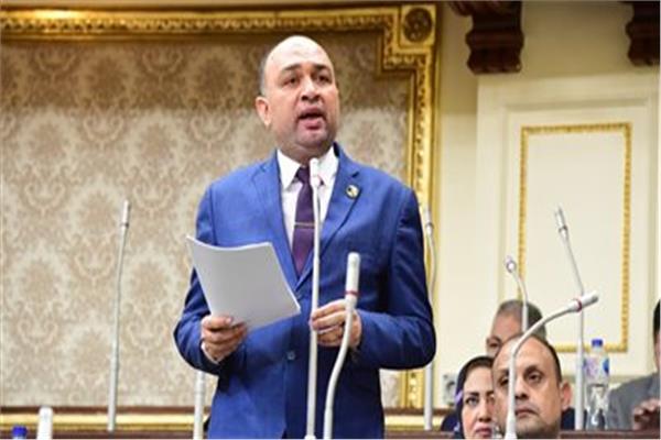النائب أحمد أبوزيد عضو مجلس النواب 
