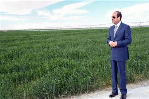 المبادرات الرئاسية رسمت ملامح الزراعة الحديثة في مصر