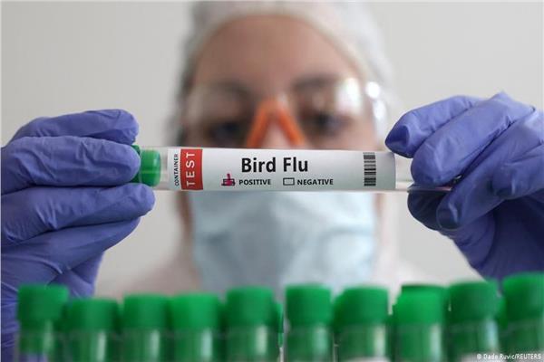 الصحة العالمية تسجيل أول وفاة بشرية بمتحور من "إنفلونزا الطيور"
