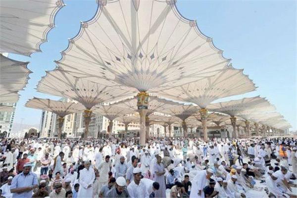 حج 2024 | "السياحة" تعمل على قدم وساق لانتقال الحجاج من المدينة إلى مكة