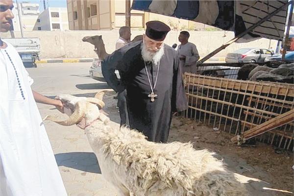القمص يؤنس أديب وأمامه خروف العيد
