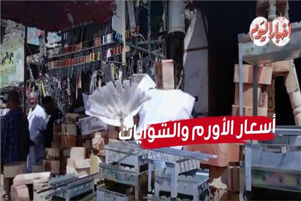 سوق الأورم والشوايات ينتعش في عيد الأضحى .. تعرف على الأسعار| فيديو 