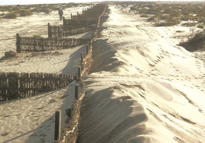 نموذج لمواجهة التغييرات المناخية بالطين والبوص والرمال