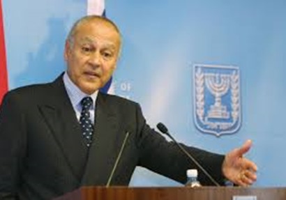 أحمد أبو الغيط،