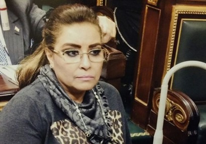 النائبة غادة عجمي عضو لجنة العلاقات الخارجية بمجلس النواب 