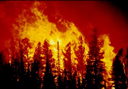 حريق الغابات