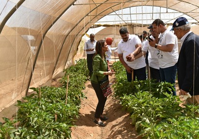 وزيرة الاستثمار خلال زياراتها للمشروعات التنموية في شمال سيناء والإسماعيلية