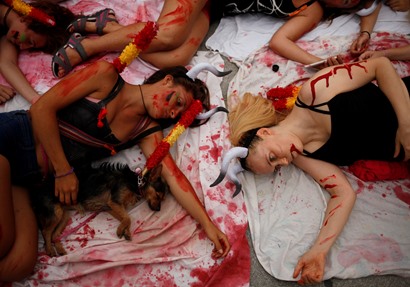 تظاهرة في إسبانيا لمنع مصارعة الثيران «رويترز»